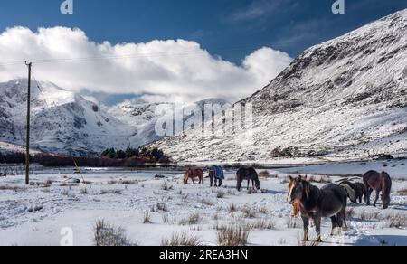 Schneebedecktes Ogwen Valley im Winter, Snowdonia, Wales, Großbritannien Stockfoto