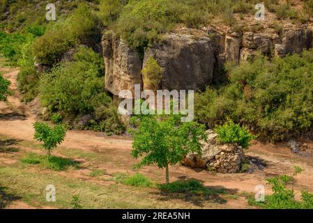 Bovera-Tal an einem Frühlingnachmittag (Les Garrigues, Lleida, Katalonien, Spanien) ESP: Valle de Bovera en una tarde de de primavera (Les Garrigues, Lérida) Stockfoto