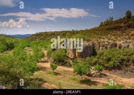 Bovera-Tal an einem Frühlingnachmittag (Les Garrigues, Lleida, Katalonien, Spanien) ESP: Valle de Bovera en una tarde de de primavera (Les Garrigues, Lérida) Stockfoto