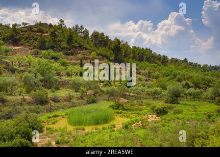 Bovera-Tal an einem Frühlingnachmittag (Les Garrigues, Lleida, Katalonien, Spanien) ESP: Valle de Bovera en una tarde de de primavera (Les Garrigues, Lérida) Stockfoto