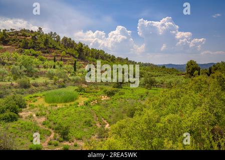 Bovera-Tal an einem Frühlingnachmittag (Les Garrigues, Lleida, Katalonien, Spanien) ESP: Valle de Bovera en una tarde de de primavera (Les Garrigues, Lérida) Stockfoto