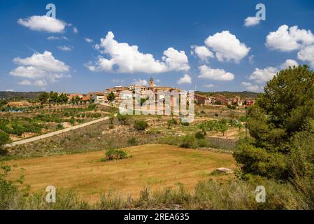 Dorf Bovera, auf einem Hügel, umgeben von Feldern und Obstbäumen (Les Garrigues, Lleida, Katalonien, Spanien) ESP: Pueblo de Bovera, en una Colina, Lérida Stockfoto