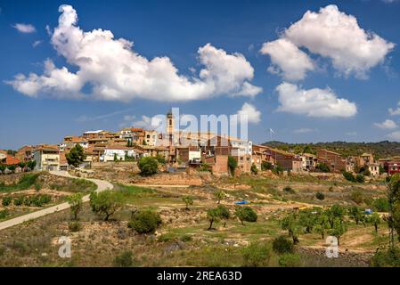 Dorf Bovera, auf einem Hügel, umgeben von Feldern und Obstbäumen (Les Garrigues, Lleida, Katalonien, Spanien) ESP: Pueblo de Bovera, en una Colina, Lérida Stockfoto