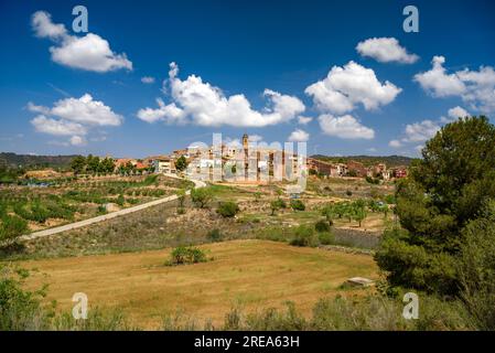 Dorf Bovera, auf einem Hügel, umgeben von Feldern und Obstbäumen (Les Garrigues, Lleida, Katalonien, Spanien) ESP: Pueblo de Bovera, en una Colina, Lérida Stockfoto