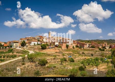 Dorf Bovera, auf einem Hügel, umgeben von Feldern und Obstbäumen (Les Garrigues, Lleida, Katalonien, Spanien) ESP: Pueblo de Bovera, en una Colina, Lérida Stockfoto