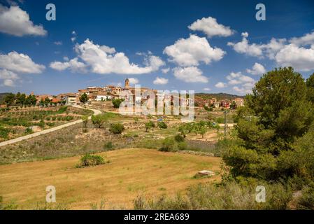 Dorf Bovera, auf einem Hügel, umgeben von Feldern und Obstbäumen (Les Garrigues, Lleida, Katalonien, Spanien) ESP: Pueblo de Bovera, en una Colina, Lérida Stockfoto