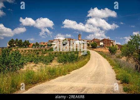 Dorf Bovera, auf einem Hügel, umgeben von Feldern und Obstbäumen (Les Garrigues, Lleida, Katalonien, Spanien) ESP: Pueblo de Bovera, en una Colina, Lérida Stockfoto