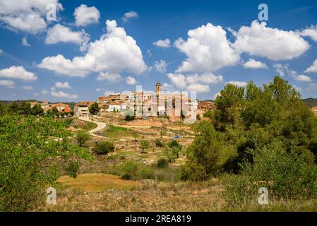 Dorf Bovera, auf einem Hügel, umgeben von Feldern und Obstbäumen (Les Garrigues, Lleida, Katalonien, Spanien) ESP: Pueblo de Bovera, en una Colina, Lérida Stockfoto