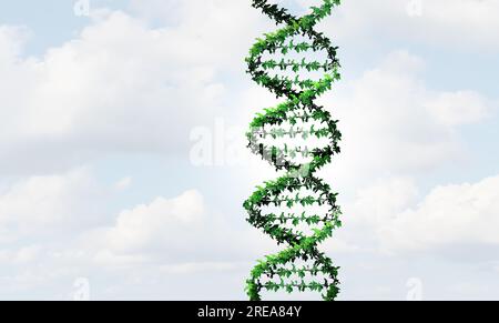 Genetik und Biologie als DNA-Therapie und Genbearbeitung als Doppelhelix-Konzept als medizinisch-genetische Gene als Chromosomen als GVO-Genomik Stockfoto