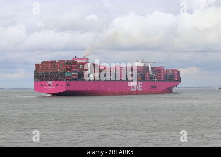 Ein großes rosa frachtschiff navigiert durch die westerschelde in Richtung antwerpener Hafen Stockfoto