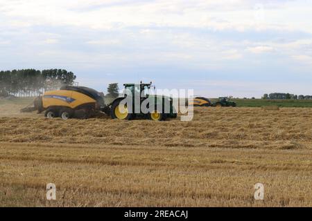 Eine ländliche Landschaft mit zwei Traktoren und einer großen Ballenpresse auf einem gelben Feld mit Strohreihen, die im Sommer Heuballen auf dem niederländischen Land herstellen Stockfoto