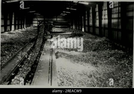 'Ökologie und Kontrolle der Hauptfliegen einer Kompostieranlage' (1971) Stockfoto