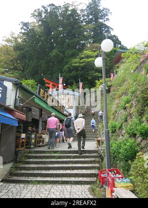 Touristen steigen eine Steintreppe hinauf zum Eingang des Nachi Taisha-Schreins, einem der drei Großen Schreine von Kumano in der Nähe von Shingu in Japan. Stockfoto