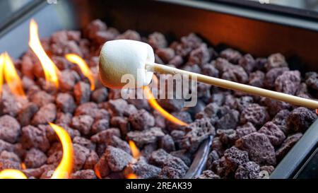 Köstliche und süße Marshmallows auf dem Stock über der Feuerstelle. Sommerlager Lagerfeuer Stockfoto