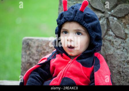 Ein kleines Mädchen, das ein Marienkäfer-Kostüm trägt. Halloween-Konzept Stockfoto