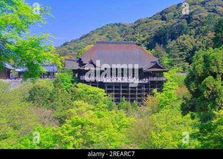 Kiyomizudera in zartem Grün? Stockfoto