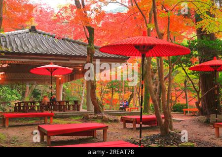 Der Zuihoji-Park im Herbst Stockfoto