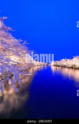 Aufleuchtende Kirschblüten im Schloss Hirosaki Stockfoto