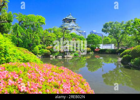 Schloss Osaka im Frühling Stockfoto