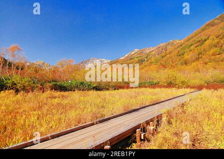 Tsugaike Nature Park und Hakuba Gebirgskette im Herbst Stockfoto