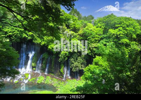 Frischer grüner Shiraito-Wasserfall und Mt. Stockfoto