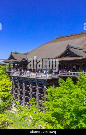 Kiyomizudera in zartem Grün? Stockfoto