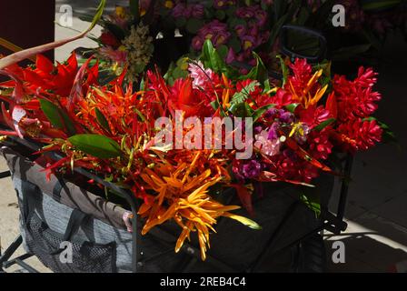 Blumen zum Verkauf auf Port Vila Markt, Efate Island, Vanuatu. Stockfoto