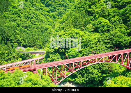 Kurobe Gorge Railway Stockfoto