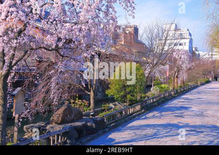 Gion Shirakawa im Frühling Stockfoto