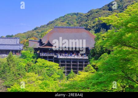 Kiyomizudera in zartem Grün? Stockfoto