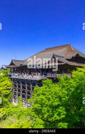 Kiyomizudera in zartem Grün? Stockfoto