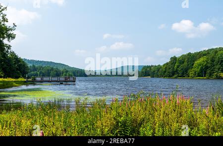 Ein Wanderpier im Chapman State Park in Clarendon, Pennsylvania, USA an einem sonnigen Sommertag Stockfoto