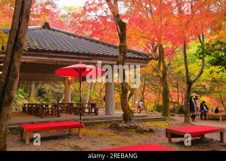 Der Zuihoji-Park im Herbst Stockfoto