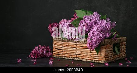 Korb mit wunderschönen Fliederblüten auf schwarzem Hintergrund Stockfoto