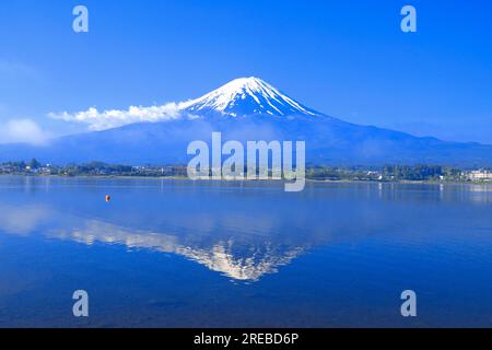 Fresh Green Mt. Fuji und Kawaguchi-See Stockfoto