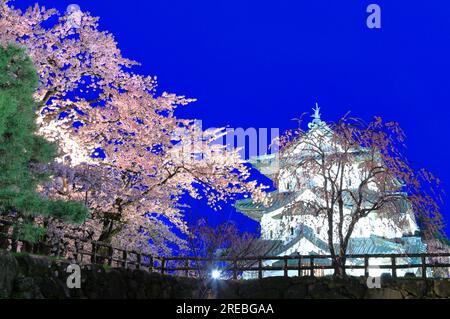 Aufleuchtende Kirschblüten im Schloss Hirosaki Stockfoto