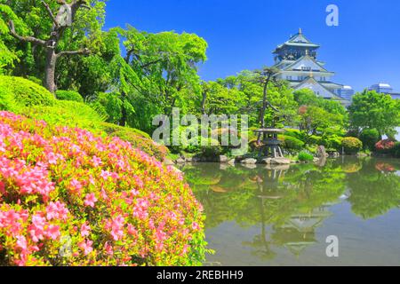 Schloss Osaka im Frühling Stockfoto