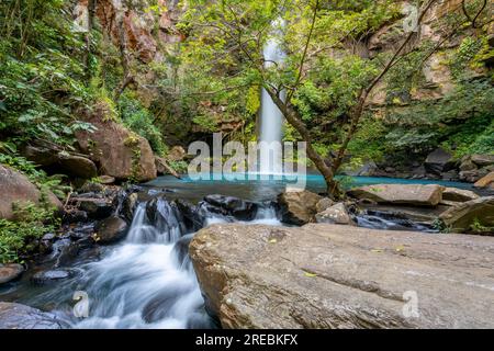 Catarata La Cangreja - Versteckte Wasserfall umgeben von grünen Bäumen, Vegetation, Felsen, Blättern, die auf grünem und klarem Wasser schwimmen, Rincon de la Vieja Nat Stockfoto