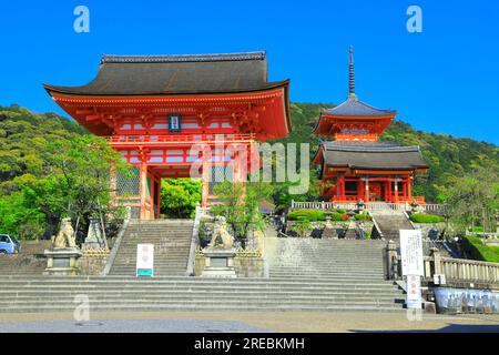 Kiyomizudera in zartem Grün? Stockfoto