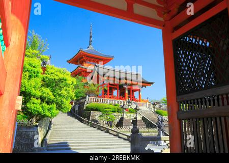 Kiyomizudera in zartem Grün? Stockfoto