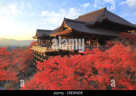 Abendlicher Blick auf die Bühne der Kiyomizu-Dera im Herbst Stockfoto