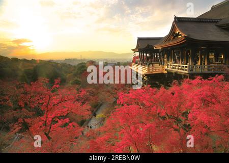 Abendlicher Blick auf die Bühne der Kiyomizu-Dera im Herbst Stockfoto