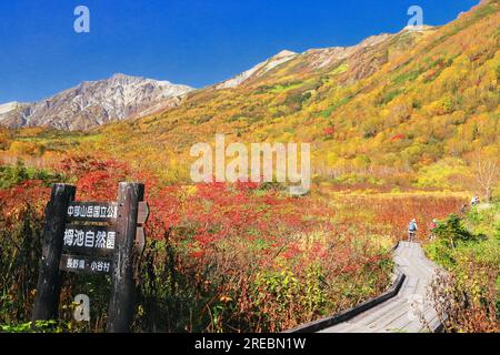 Tsugaike Nature Park und Hakuba Gebirgskette im Herbst Stockfoto