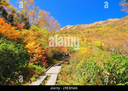 Tsugaike Nature Park und Hakuba Gebirgskette im Herbst Stockfoto