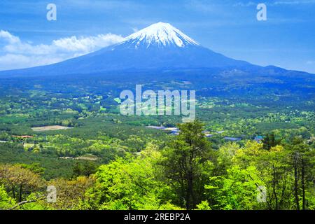 Frisches Grün von Momiji-dai und Mt. Stockfoto