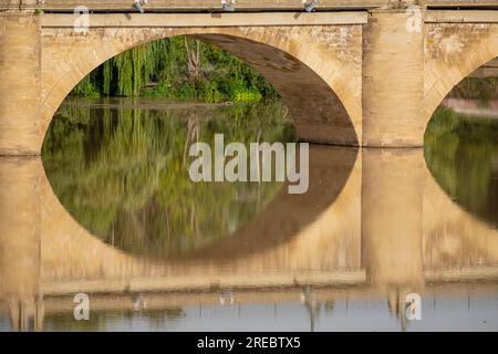 puente de Piedra, Puente de San Juan de Ortega, 1884, Logroño, La Rioja , Spanien, Europa Stockfoto