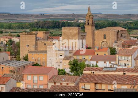 castillo de Aguas Mansas, construido durante los siglos XIII y XIV, Agoncillo, La Rioja , Spanien, Europa Stockfoto