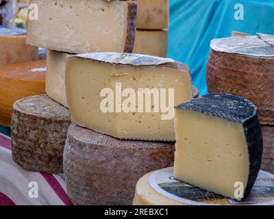 Tortucas, queso tipico cantabro, Cabezón de la Sal, comarca Saja-Nansa, Kantabrien, Spanien Stockfoto