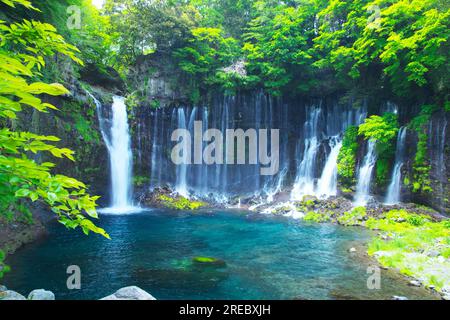 Shiraito Falls in frischem Grün Stockfoto