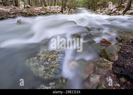 Fonts Ufanes Naturdenkmal, Gabellí Petit Estate, Campanet, Mallorca, Balearen, Spanien Stockfoto